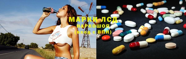 индика Богородск
