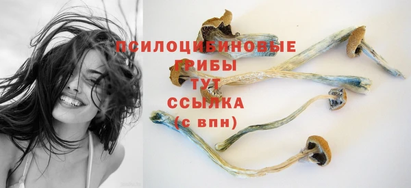 эйфоретик Мегион