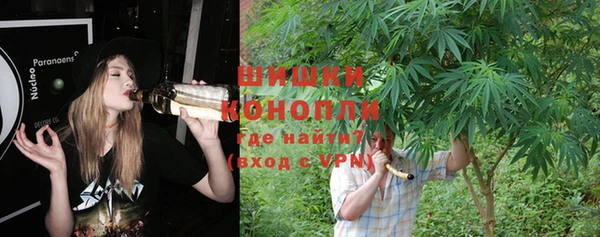 индика Богородск