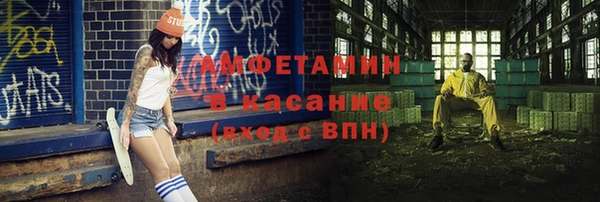 индика Богородск