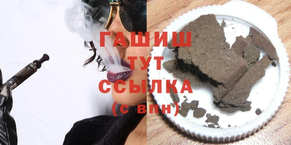 индика Богородск