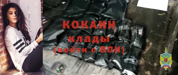 индика Богородск