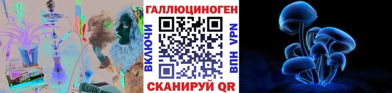 Галлюциногенные грибы Psilocybe  Нижний Тагил 