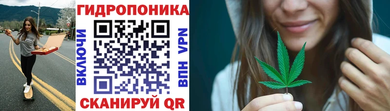 Шишки марихуана план  Нижний Тагил 